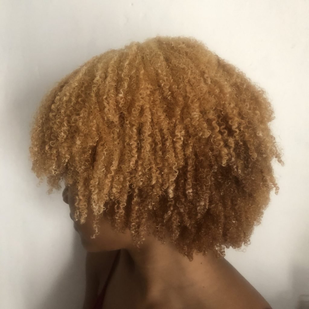 natural hair definers for 2019- nique's beauty