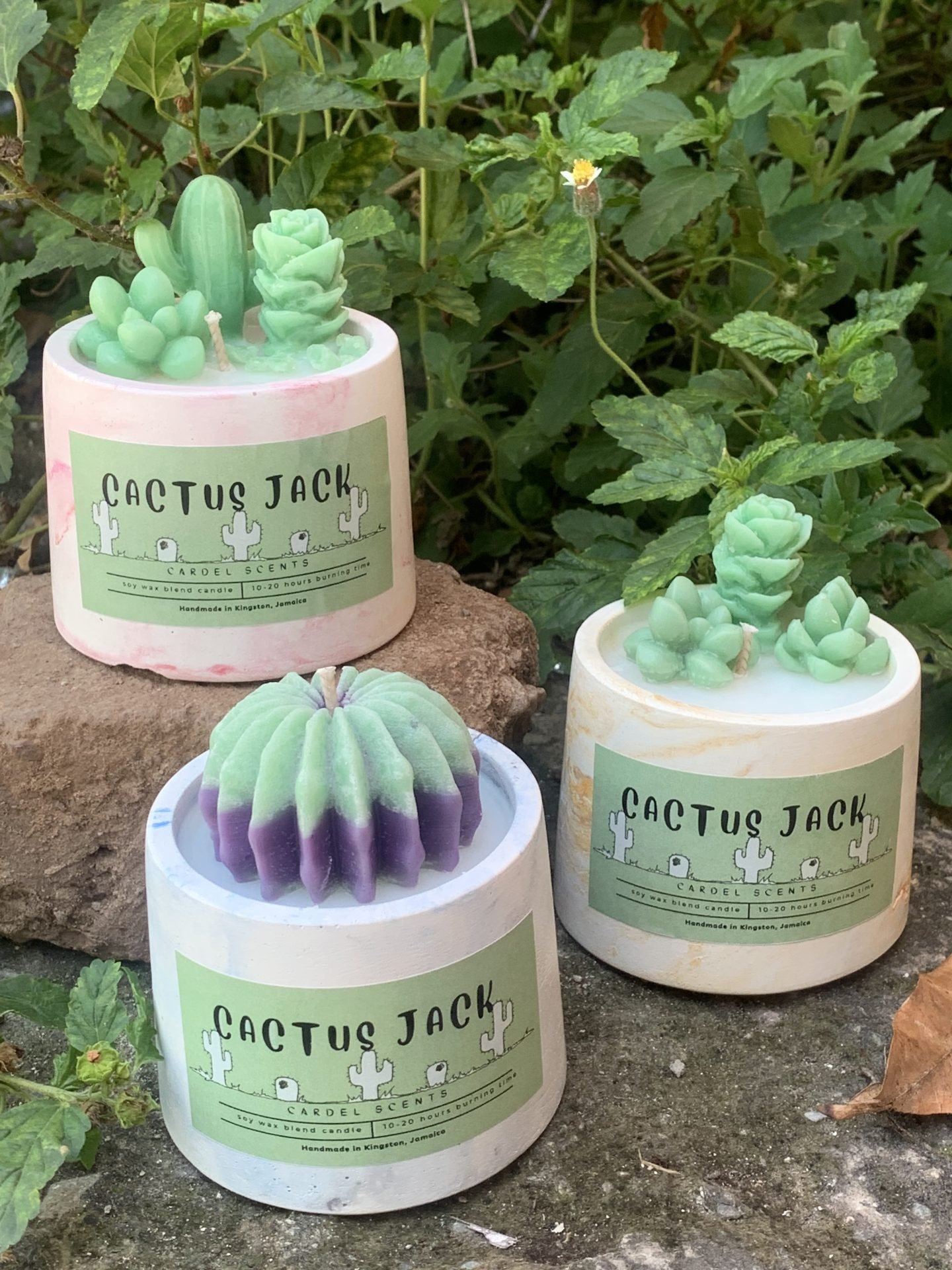 Cactus Jack candle