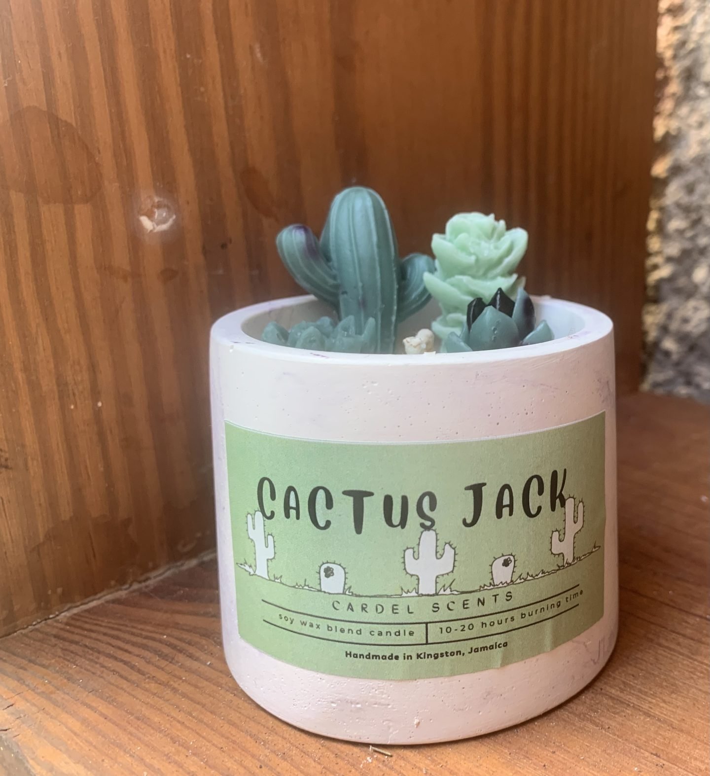 Cactus seasalt candle